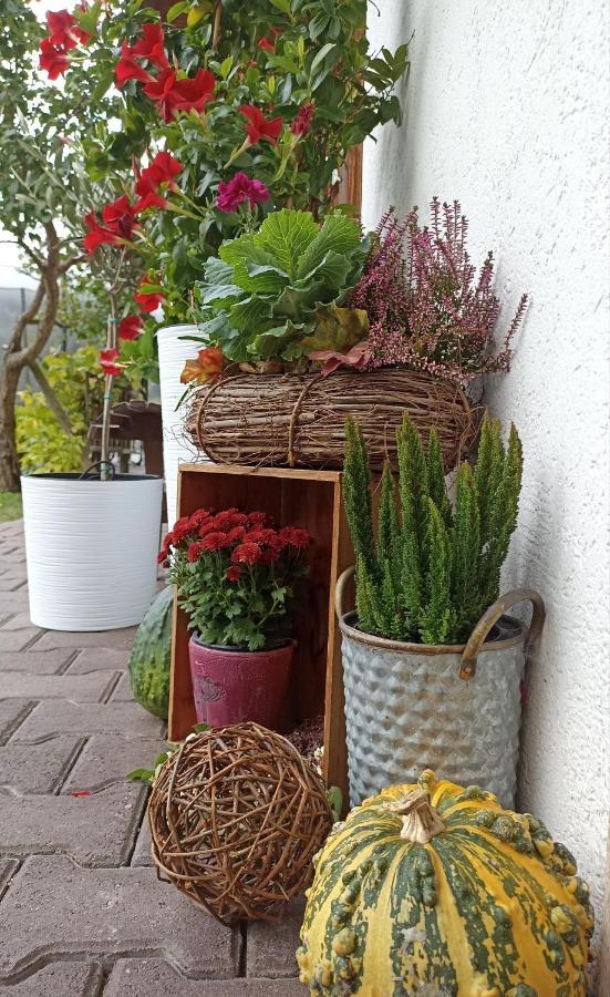 Ferienwohnung Stubenboeck Ахенкирх Екстериор снимка